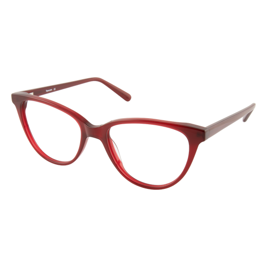 iEye B49