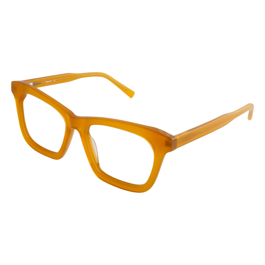 iEye B61