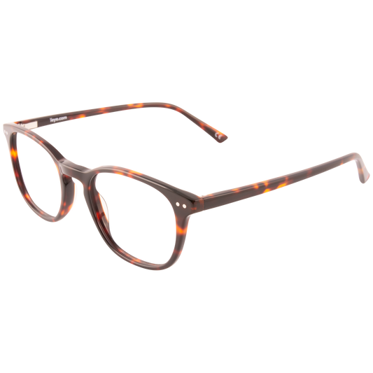 iEye L4