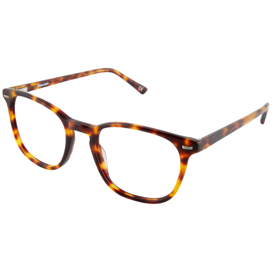 iEye L6